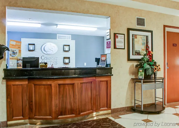 Spark By Hilton Airport Hotel 3*