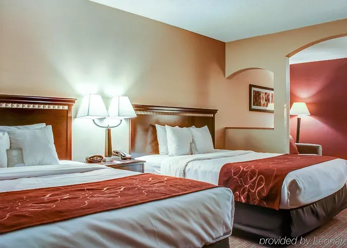 Hotel Spark By Hilton Airport 3*